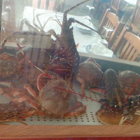 Casa Ferias Melides别墅 外观 照片